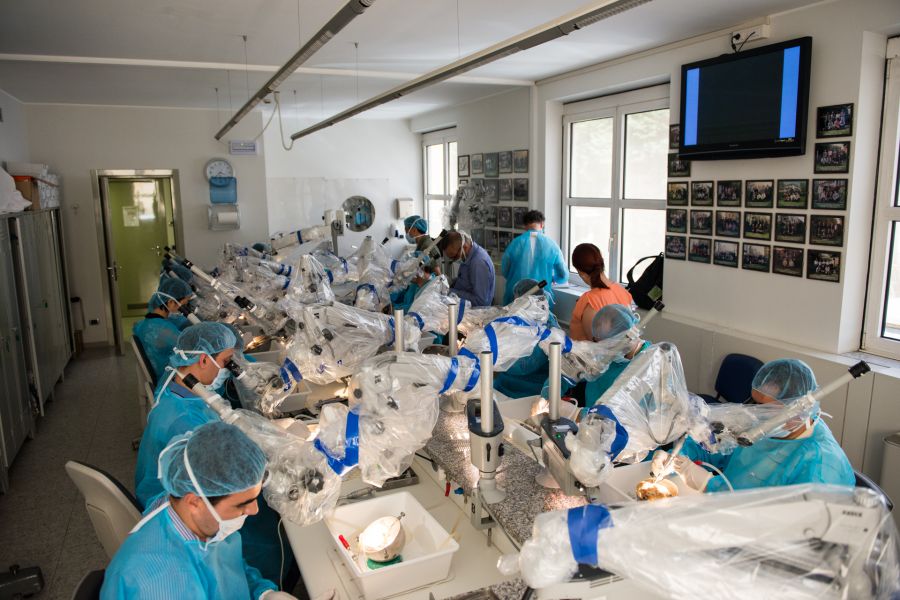 LABORATORIO DI DISSEZIONE “WILLIAM HOUSE”