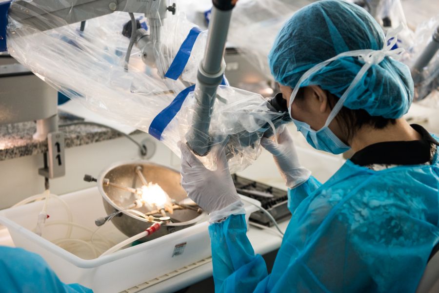 LABORATORIO DI DISSEZIONE “WILLIAM HOUSE”