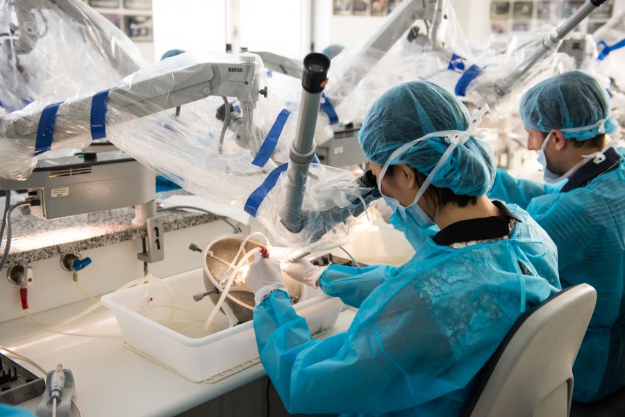 LABORATORIO DI DISSEZIONE “WILLIAM HOUSE”